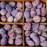 嘉笙美正宗新疆法兰西西梅新鲜当季时令水果喀什整箱应季孕妇甜李子 2斤净重果丨多汁酸甜 | 性价比高