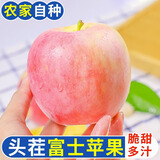 陇百味苹果新鲜现摘 山西运城红富士脆甜 当季应季时令水果整箱产地直发 净重4.5斤单果70mm+