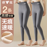 雅鹿自营甄选2条装秋裤女士保暖裤女 秋冬季高腰可外穿薄款修身打底裤