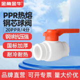 金角金牛ppr钢芯球阀4分20 6分25 1寸32 自来水水管配件接头家装 20ppr（4分）钢芯球阀