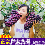 秦人农匠 正宗户太八号【顺丰空运】陕西户县葡萄新鲜沪太8号西安特产礼盒 净重5斤 精选装 顺丰空运 户县直发
