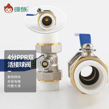 绿族4分ppr双活接球阀20加厚家庭入户水管总阀门黄铜六分球阀配件电镀