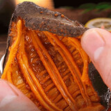 冰岛北极红参进口即食海参野生红极参礼盒加拿大原装俄罗斯6斤装 10年参龄6斤30-45只【一月滋补】