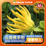 沐瑾云南新鲜佛手果柑香橼黄色佛手水培观赏清供把玩闻香食用现货速发 2斤 丨优选-含箱 果型随机-青果-带树枝5-8cm-普运