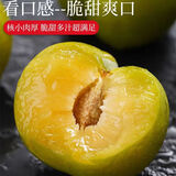蜂糖李子树苗嫁接特大晚熟脱骨青脆李子果树苗南北方种三华李树苗 蜂糖李70~120cm高当年结果 70cm(含)-79cm(含)