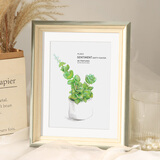 彩糖塘 北欧简约相框相册框相架摆台卧室客厅清新儿童画框照片装裱挂墙 4209-莫兰迪绿 7寸【放12.8*17.8cm】摆桌+挂墙