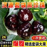土地母亲计划 四川汉源车厘子黑珍珠套袋精品果大樱桃车厘子新鲜水果礼盒送礼 2斤(净重)  精品套袋中大果 J级