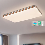松下（Panasonic）客厅灯 LED吸顶灯调光调色遥控灯具照明超薄客厅大灯明畔 智控木纹HHXSX330L