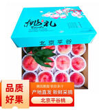 佐什正宗北京平谷桃礼盒水蜜桃鲜桃脆甜桃子大桃生鲜新鲜水果产地直发 12颗蓝色礼盒装【单果350g+】