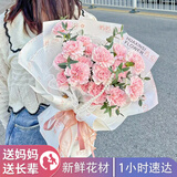 植伴康乃馨百合鲜花生日祝福探望病人母亲节鲜花速递送妈妈全国同城店 G款-11朵粉康乃馨花束
