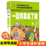 一园青菜成了精（彩图注音版）儿童文学快乐读书吧一年级课外阅读书世界经典文学少儿名著童话故事书小学生二三年级课外阅读书小学语文课外阅读经典丛书 开学季