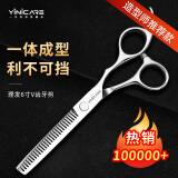 一尔理发美发剪刀打薄剪碎发剪牙剪平剪刘海剪头发家用剪刀套装 工具 【学徒进阶款】牙剪