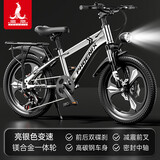 凤凰（Phoenix）儿童自行车6-12岁中大童男孩山地车青少年变速学生车单车小学生车 A6- 亮银色- 变速一体轮-带后座架 22寸(适合身高140-160cm)