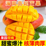 京喜加海南贵妃芒果 新鲜水果甜心芒果热带现摘红金龙芒果整箱水 贵妃带箱两斤70g+