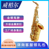 VIBRA（VIBRA）萨克斯降e调中音萨克斯风管乐器零基础初学考级演奏通用 567G金色升级款【全套礼包】