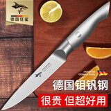 MAD SHARK德国进口切水果刀不锈钢削皮刀家用多功能户外专用小型便携锻打 银色水果刀