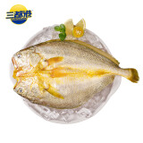 三都港冷冻醇香黄鱼鲞500g 黄花鱼 海鲜水产 生鲜鱼类 海鱼 烧烤食材