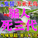 驱鸟神器高效赶鸟特效药农田庄稼果园玉米地户外防鸟驱鸟剂药包 一包装【三十小包】鸟不再来