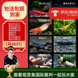 云峰海瑞黑壳虾清洁虾观赏虾 鱼缸水族箱水草缸清洁除藻淡水 【漂亮清洁虾】全家福高端套餐