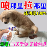 道力其狗狗定点排便诱导剂诱导狗大小便上厕所神器狗狗尿垫除臭吸水垫 5瓶【狗狗定点排便神器】3瓶价格