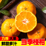 果果牛麻阳椪柑 桔子柑橘当季新鲜水果高山酸甜整箱 可选 3斤装大号(尝鲜)