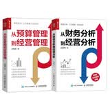 财务人的职场进阶与转型指南：从财务分析到经营分析+从预算管理到经营管理 袁国辉套装2册（京东）（人邮普华出品）