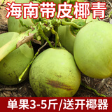 鲜友季海南文昌椰子椰青大果新鲜椰子现摘现发送开椰器和吸管孕妇水果 6枚带皮椰子（单果 3斤 -5斤
