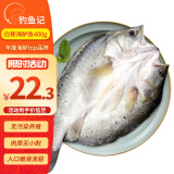 钓鱼记海鲈鱼400g-500g/条 调味去麟去腮去内脏 冷冻真空锁鲜 生鲜 鱼类