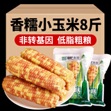 傣萨金谷西双版纳香糯小玉米花糯玉米即食云南玉米低脂杂粮真空轻食减餐 A级-香糯小玉米8斤
