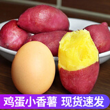 时味季正宗临安天目山小香薯5斤装红皮黄心红薯手指薯新鲜带皮板栗番薯 3斤 【鸡蛋果】