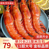 渔游记阿根廷红虾（L1）2kg特级大号进口海捕红虾似红魔虾海鲜 阿根廷红虾 1000g(净重)