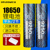 德力普（Delipow）18650锂电池3.7V-4.2V大容量9250mWh强光手电筒专用充电电池 麦克风/头灯/航模/小风扇等通用