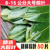 优优马情田野生新鲜大号粽子叶农家箬竹叶端午节包粽子50片300g±10g左右