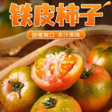 铁皮柿子草莓西红柿绿腚柿子现摘现发 小果40g起 试用款 2斤 带箱