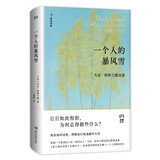 一个人的暴风雪（收录普利策获奖诗集，“桂冠诗人”马克《波士顿环球报》年度好书）斯特兰德后期诗歌精选集