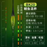 民间艺人鱼漂夜光漂电子漂高灵敏夜光漂醒目鲫鱼浮漂日夜两用加粗夜钓浮漂 硬尾20大鲫大鲤长43.5CM吃铅2.58