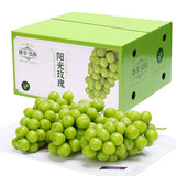 智宙云南阳光玫瑰葡萄国产晴王无籽香印提子 新鲜水果礼盒年货节送礼 果王级5斤礼盒装单粒12-14g