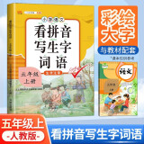 小学生五年级上册看拼音写词语练字帖生字注音语文课本同步专项训练 习字本写字练习册彩绘版