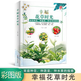 幸福花草时光 彩图版 家庭养花、园艺书籍 家庭种花 种蔬菜 种水果指南 家庭养花和阳台种菜图书