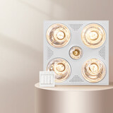 飞雕（FEIDIAO）灯暖浴霸两档取暖照明换气浴室取暖器灯暖一体卫生间适用集成吊顶