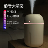 呆瓜儿迷你加湿器家用小型usb插电孕妇婴儿卧室办公室宿舍学生桌面便携式空气喷雾加湿器 大雾量【冰川白】 330mAh 通用