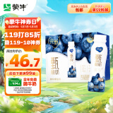 蒙牛纯甄甄酸奶寒地蓝莓风味酸奶PET瓶230g×10瓶（礼盒装）