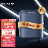 格力（GREE）抽湿机/除湿机 除湿量12升/天 家用轻音卧室办公室地下室低噪干衣除湿器升级负离子 (DH12ENA1A)