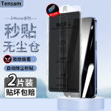 Tensam 适用苹果11/XR防窥钢化膜全屏贴合手机膜防爆覆盖保护贴膜 苹果11/xr【JY秒贴无尘仓】防窥*2片装