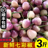 辰实【顺丰速发】七彩椒现摘 广西新鲜五彩椒 灯笼椒小辣椒 3斤 【新鲜七彩椒 现摘现发】