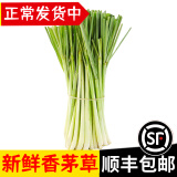 辰实香茅草【发顺丰】新鲜柠檬香茅香料菜 奶茶店泰国冬阴功汤原料 2斤 香茅草