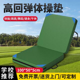 梦多福 空翻垫跳高海绵垫体能训练垫子防护垫攀岩武术垫空翻垫体操垫子 两折100*50*5cm 有机硅布高弹海绵