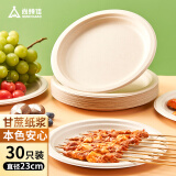 尚烤佳（Suncojia）纸盘 一次性餐具 防水防油可降解圆盘 纸碟 30只