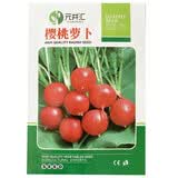 元井汇（YUANJINGHUI）蔬菜种子四季播盆栽阳台庭院香菜生菜菠菜小葱简单秋易种籽孑大全 樱桃萝卜（约500粒）