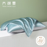 太湖雪纯色真丝枕套 100%桑蚕丝绸 单面真丝枕头套单只装琉璃蓝 48*74cm